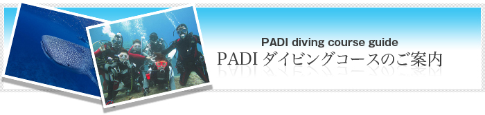 PADI_CrOR[X̂ē